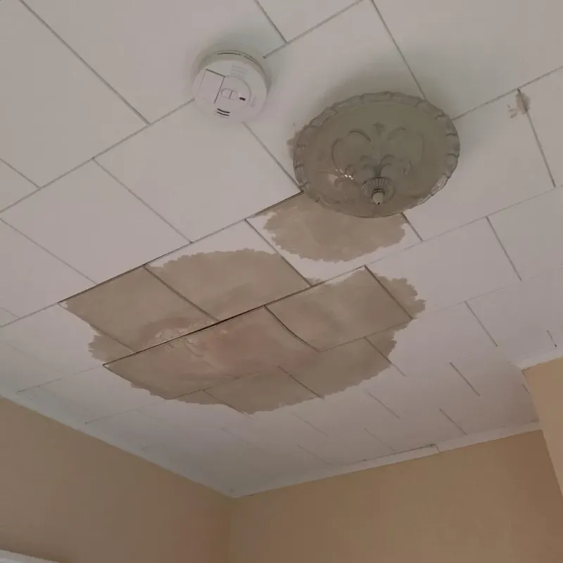 Ceiling Water Damage Repair in Buhler, KS