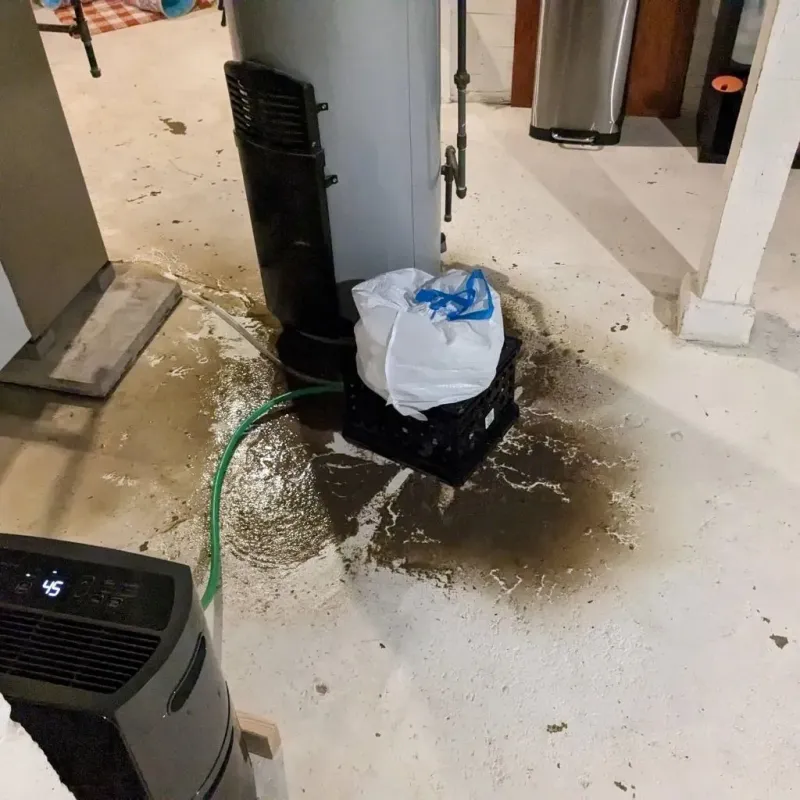 Sewage Backup Cleanup Service in Buhler, KS